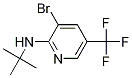 3-Bromo-2-(N-t-butylamino)-5-trifluoromethylpyridine CAS#: 1280786-64-2