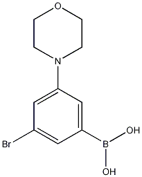 3-Bromo-5-morpholinophenylboronic acid CAS#: 1256355-10-8
