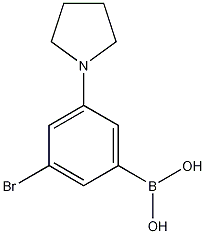 3-Bromo-5-(pyrrolidin-1-yl)phenylboronic acid CAS#: 1256355-16-4
