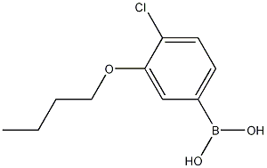 3-Butoxy-4-chlorophenylboronic acid CAS#: 1256346-36-7