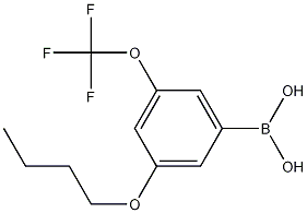 3-Butoxy-5-(trifluoromethoxy)phenylboronic acid CAS#: 1256345-96-6