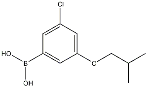 3-Chloro-5-isobutoxyphenylboronic acid CAS#: 1256345-48-8