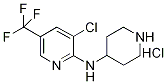 (3-Chloro-5-trifluoroMethyl-pyridin-2-yl)-piperidin-4-yl-aMine hydrochloride, 98+% C11H14Cl2F3N3, 分子量 316.15 CAS#: 1185315-66-5