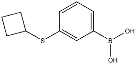 3-(Cyclobutylsulfanyl)phenylboronic acid CAS#: 1256346-42-5