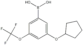 3-(Cyclopentyloxy)-5-(trifluoromethoxy)phenylboronic acid CAS#: 1256346-04-9