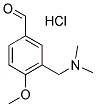 3-[(DIMETHYLAMINO)METHYL]-4-METHOXYBENZALDEHYDE HYDROCHLORIDE CAS#: 1177308-09-6