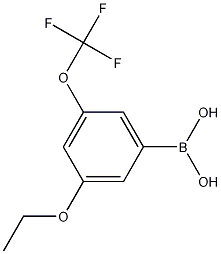 3-Ethoxy-5-(trifluoromethoxy)phenylboronic acid CAS#: 1256345-87-5