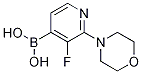 3-Fluoro-2-morpholinopyridine-4-boronic acid CAS#: 1256355-28-8