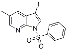 3-Iodo-5-methyl-1-(phenylsulfonyl)-1H-pyrrolo[2,3-b]pyridine CAS#: 1228666-07-6