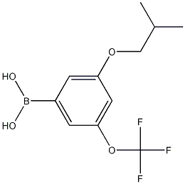 3-Isobutoxy-5-(trifluoromethoxy)phenylboronic acid CAS#: 1256346-03-8