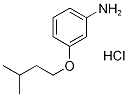 3-(Isopentyloxy)aniline hydrochloride CAS#: 1135289-27-8