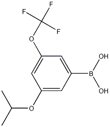 3-Isopropoxy-5-(trifluoromethoxy)phenylboronic acid CAS#: 1256346-01-6