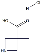 3-Methyl-3-azetidinecarboxylic acid HCl CAS#: 1365411-50-2