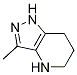 3-Methyl-4,5,6,7-tetrahydro-1H-pyrazolo[4,3-b]pyridine CAS#: 1338247-52-1