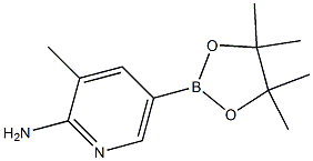 3-Methyl-5-(4,4,5,5-tetraMethyl-[1,3,2]dioxaborolan-2-yl)-pyridin-2-ylaMine CAS#: 1111637-91-2