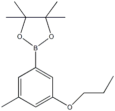 3-Methyl-5-propoxyphenylboronic acid, pinacol ester CAS#: 1218789-73-1