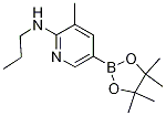 3-Methyl-N-propyl-5-(4,4,5,5-tetraMethyl-1,3,2-dioxaborolan-2-yl)pyridin-2-aMine CAS#: 1351380-79-4