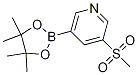 3-(Methylsulfonyl)-5-(4,4,5,5-tetraMethyl-1,3,2-dioxaborolan-2-yl)pyridine CAS#: 1206641-26-0