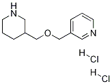 3-(Piperidin-3-ylmethoxymethyl)-pyridine dihydrochloride CAS#: 1185313-80-7