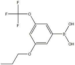 3-Propoxy-5-(trifluoromethoxy)phenylboronic acid CAS#: 1256346-02-7