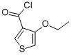 3-Thiophenecarbonylchloride,4-ethoxy-(9CI) CAS#: 70438-01-6