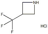 3-(TrifluoroMethyl)Azetidine Hydrochloride CAS#: 1221272-90-7