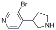 3-broMo-4-(pyrrolidin-3-yl)pyridine CAS#: 1260823-05-9
