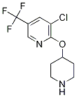 3-chloro-5-(trifluoromethyl)-2-pyridinyl 4-piperidinyl ether CAS#: 1092352-80-1