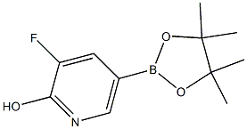 3-fluoro-5-(4,4,5,5-tetramethyl-1,3,2-dioxaborolan-2-yl)pyridin-2-ol CAS#: 1333319-76-8