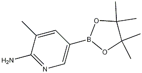 3-methyl-5-(4,4,5,5-tetramethyl-1,3,2-dioxaborolan-2-yl)pyridin-2-amine CAS#: 1111637-91-2