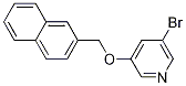 3-((naphthalen-6-yl)methoxy)-5-bromopyridine CAS#: 1245644-34-1