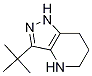 3-tert-butyl-4,5,6,7-tetrahydro-1H-pyrazolo[4,3-b]pyridine CAS#: 1338247-69-0