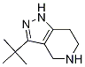 3-tert-butyl-4,5,6,7-tetrahydro-1H-pyrazolo[4,3-c]pyridine CAS#: 1338247-63-4