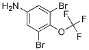 3,5-dibromo-4-(trifluoromethoxy)aniline CAS#: 1184920-08-8