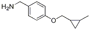4-(2-Methyl-cyclopropylmethoxy)-benzylamine CAS#: 1211594-46-5