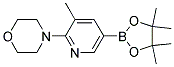 4-[3-METHYL-5-(4,4,5,5-TETRAMETHYL-[1,3,2]-DIOXABOROLAN-2-YL)PYRIDIN-2-YL]MORPHOLINE CAS#: 1073372-03-8