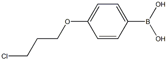 (4-(3-chloropropoxy)phenyl)boronic acid CAS#: 1182283-83-5