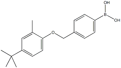 4-[(4-tert-Butyl-2-Methylphenoxy)Methyl]phenylboronic acid CAS#: 1072951-67-7