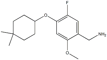 4-[(4,4-diMethylcyclohexyl)oxy]-5-fluoro-2-Methoxy-BenzeneMethanaMine CAS#: 1224048-15-0