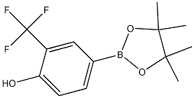 4-(4,4,5,5-TetraMethyl-[1,3,2]dioxaborolan-2-yl)-2-trifluoroMethyl-phenol CAS#: 1243143-45-4
