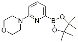 4-(6-(4,4,5,5-tetraMethyl-1,3,2-dioxaborolan-2-yl)pyridin-2-yl)Morpholine CAS#: 1260374-06-8