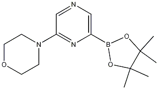 4-[6-(4,4,5,5-tetramethyl-1,3,2-dioxaborolan-2-yl)pyrazin-2-yl]morpholine CAS#: 1186041-99-5