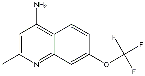 4-Amino-2-methyl-7-trifluoromethoxyquinoline CAS#: 1189105-71-2