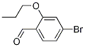 4-BroMo-2-propoxybenzaldehyde CAS#: 1094555-01-7