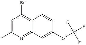 4-Bromo-2-methyl-7-trifluoromethoxyquinoline CAS#: 1189105-69-8