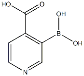 4-Carboxypyridine-3-boronic acid CAS#: 1072946-05-4