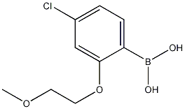4-Chloro-2-(2-methoxyethoxy)phenylboronic acid CAS#: 1256354-97-8