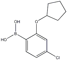 4-Chloro-2-(cyclopentyloxy)phenylboronic acid CAS#: 1256355-05-1