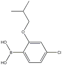 4-Chloro-2-isobutoxyphenylboronic acid CAS#: 1256355-06-2