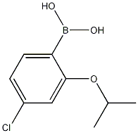 4-Chloro-2-isopropoxyphenylboronic acid CAS#: 1256355-04-0